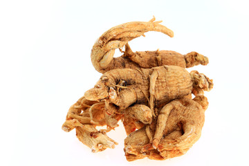 Ginseng on a white background