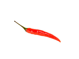 Red chili pod isolated on white background. Indian cuisine, ayurveda, naturopathy concept