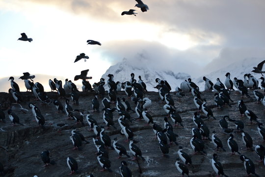 Ushuaia