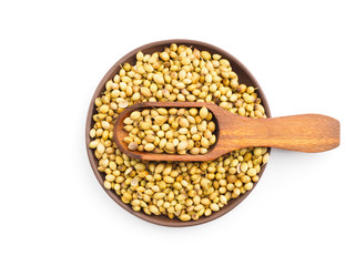 Spice coriander (Coriandrum sativum) seeds in clay plate and wooden scoop isolated on white background. Indian cuisine, ayurveda, naturopathy concept