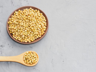 Spice coriander (Coriandrum sativum) seeds in clay plate and wooden spoon on gray concrete background. Diet and weight loss concept