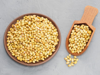 Spice coriander (Coriandrum sativum) seeds in clay plate and wooden scoop on gray concrete background. Diet and weight loss concept