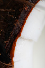 fresh chopped coconut with white tender flesh