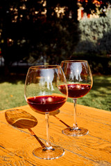 Two Glasses of Fresh Red Wine for Celebration