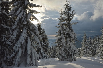 zimowe widoki niskich Tatr na Słowacji