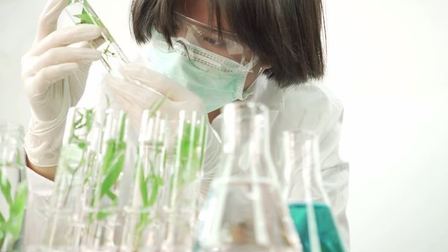 Sientist work with plant in test tubes in laboratory. Dolly shot