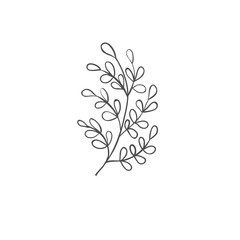 Fototapeta na wymiar Hand drawn plant branches. Greenery design elements. Botanical logos.