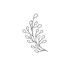 Hand drawn plant branches. Greenery design elements. Botanical logos.
