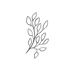 Hand drawn plant branches. Greenery design elements. Botanical logos.