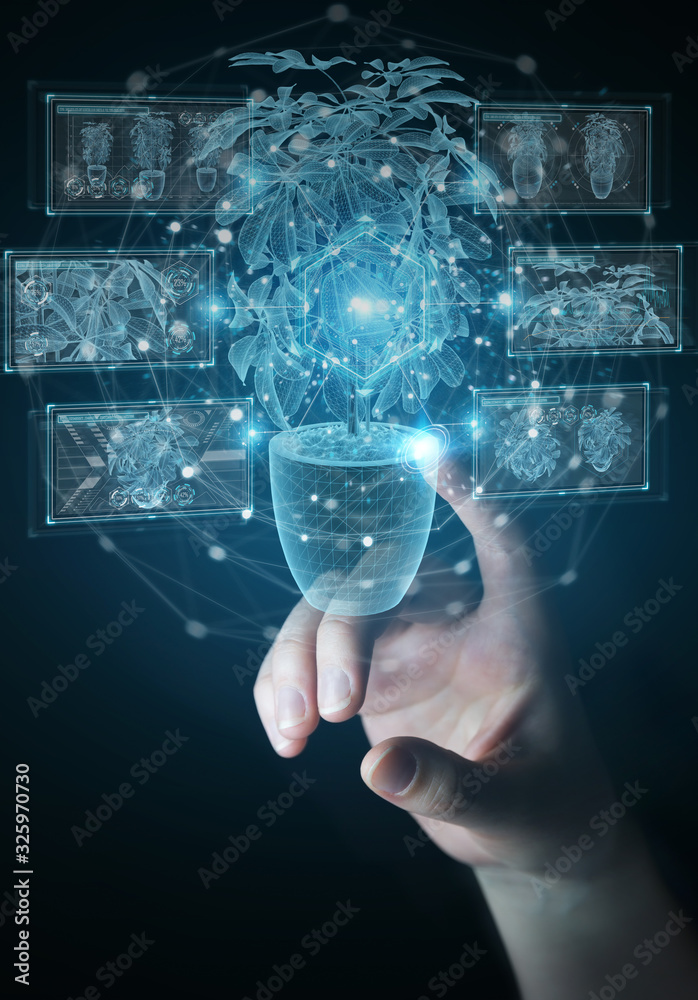 Leinwandbilder man hand holding and touching holographic projection of a plant with digital analysis 3d rendering