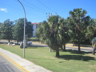 Obraz premium Cuba auto
