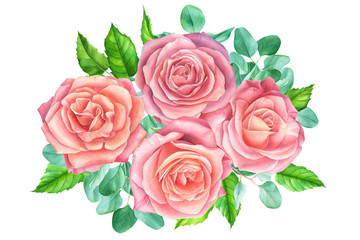 bouquet of light flowers of pink roses and eucalyptus leaves, watercolor illustration, flowers on an isolated white background