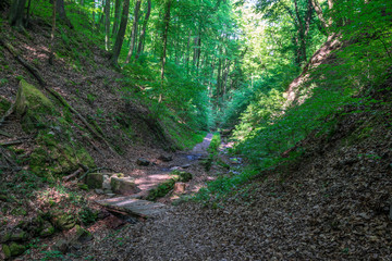 Seltenbachschlucht in Klingenberg am Main