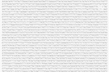 The encrypted alphabetic genetic code of the coronavirus is an abstract image.