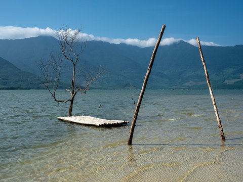 Growing oyster on car tires over poles in Vietnam