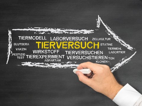 Tierversuch