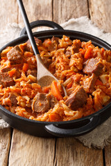 Cabbage stew with beef meat, tomatoes, carrots closeup in a plate. vertical