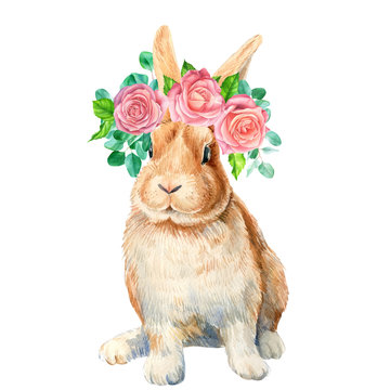 Bunny with flowers on isolated white background, greeting card, roses, eucalyptus leaves, rabbit, watercolor illustration 