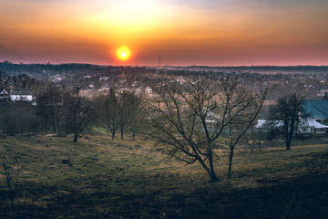 Obraz premium Spring landscape