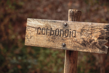 Ficuzza Forest near Palermo, Sicily in Autumn