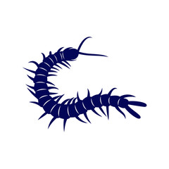 Centipede logo vector design template, Silhouette Centipede logo animal, Illustration