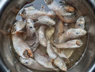 Small dry fishes dipped in a steel bowl of water for cleaning