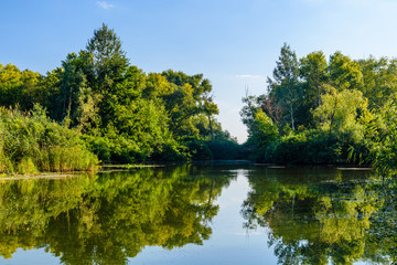 Summer landscape with the green trees and river