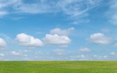 Fototapeta premium Green grass field and blue sky with white clouds. Beautiful landscape background.