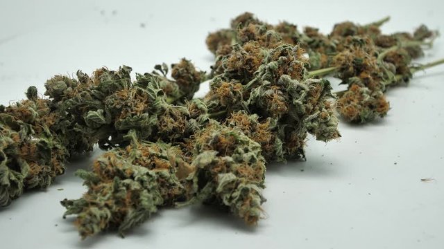 dry cannabis, marijuana bud