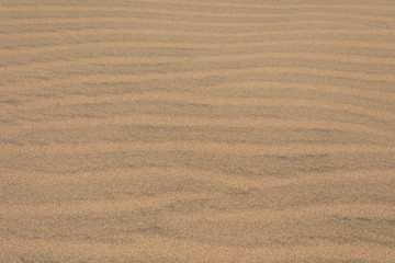 Sand dunes, natural background, yellow desert texture