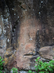 Spiral petroglyph carved in stone in La Zarza nature park archeological site in Laurel forest, laurisilva in the northern part of La Palma, Canary Islands, Spain.