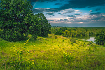 Obraz premium Fields landscape in summer sunset and sunrise
