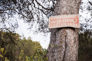 Poster where it is forbidden to make fire and cut firewood