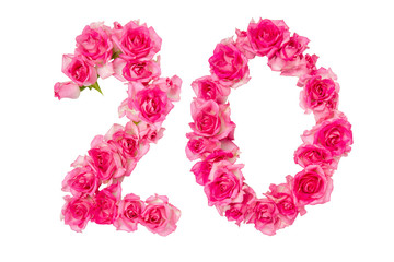 Number 20 made from pink roses on a white isolated background.Element for decoration. Anniversary, holiday.