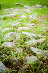Stone pathway on green grass.