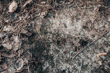 old stone background floor wallpaper