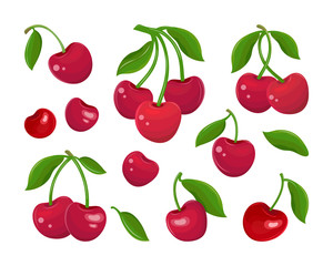 Set of red cherries on a white background. Collection of cherry fruits, stems and leaves in vector. Juicy maroon berry. Sweet fruit cartoon. Hand drawn vector flat illustration