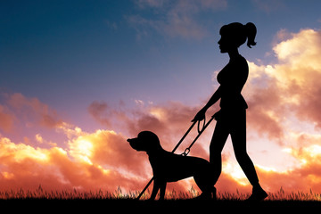 blind girl with dog silhouette at sunset - obrazy, fototapety, plakaty