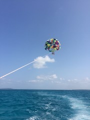 パラグライダー