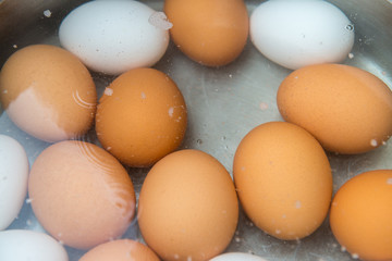 Braune und weiße Eier in einem Topf mit Wasser zum kochen 039513