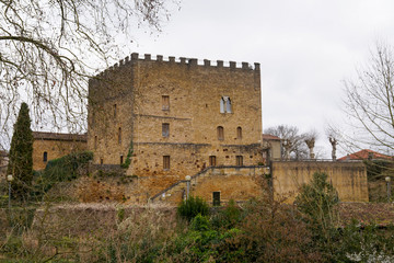 Mont de Marsan donjon medieval castle keep in landes france