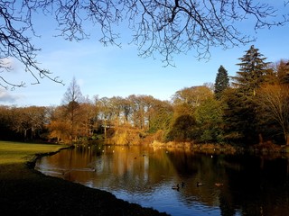 autumn in the park