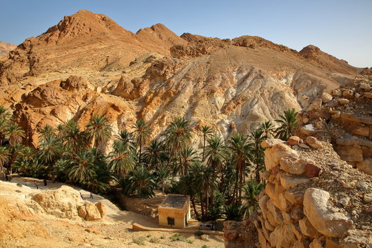 The oasis of Chebika near Nefta, Tunisia, with palm trees, canyon and mineral rocks