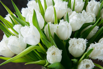 Fototapeta premium Close up of fashion modern bouquet of different flowers on wooden background. Masterclass. Gift for bride on wedding, mother's, woman's day. Romantic spring fashion. Tender and pure white tulips.