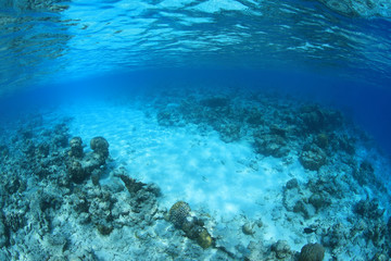 Fototapeta na wymiar Passage through the coral reef
