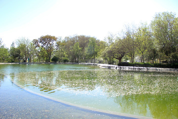 باغ گل در ایران flower garden in iran