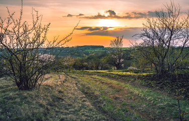 Spring landscape