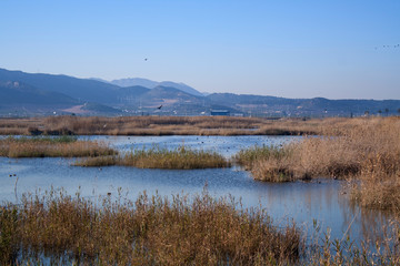 landscape of the Marjal del Moro, in Valencia