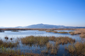 landscape of the Marjal del Moro, in Valencia