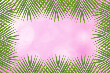 Fototapeta na wymiar Palm leaves on soft focus pink background.